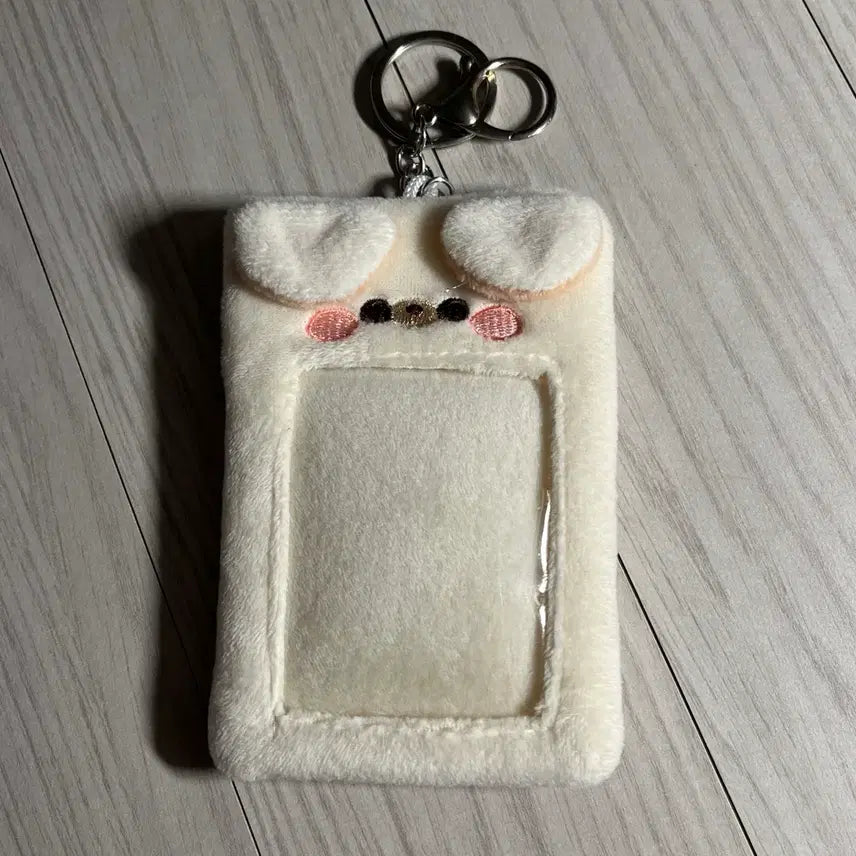 강아지 포카홀더 엔시티 라이즈 엔하이픈 보넥도 투어스 알디원 코르티스