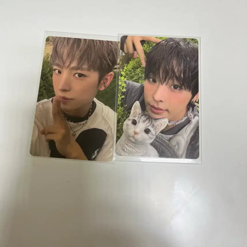 엔시티위시 컬러 리쿠 유우시 포카 일괄양도