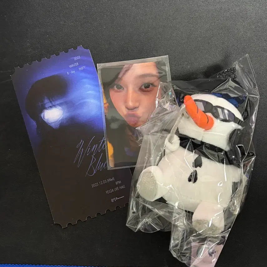 에스파 윈터 생일파티 역조공 포카 인형 티켓 풀세트 양도