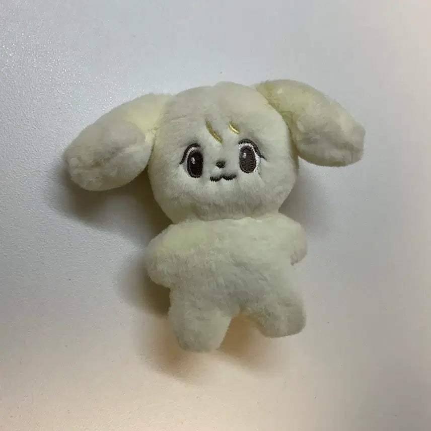 엔시티127 일이칠 정우 인형 정아지 양도