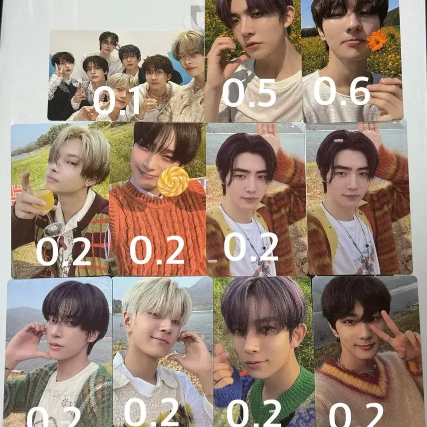 엔하이픈 앨범 포카