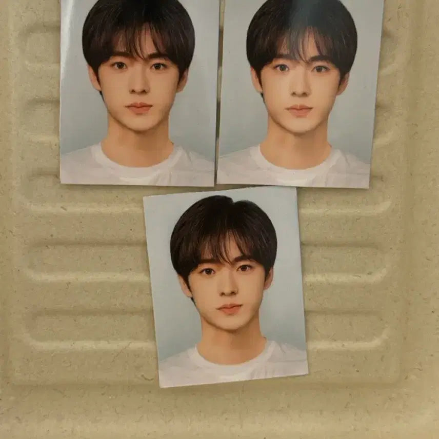 엔시티위시 유우시 증사 일괄 양도