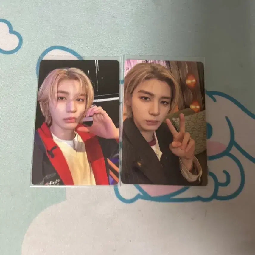 보넥도 시그 2025 이한 포카