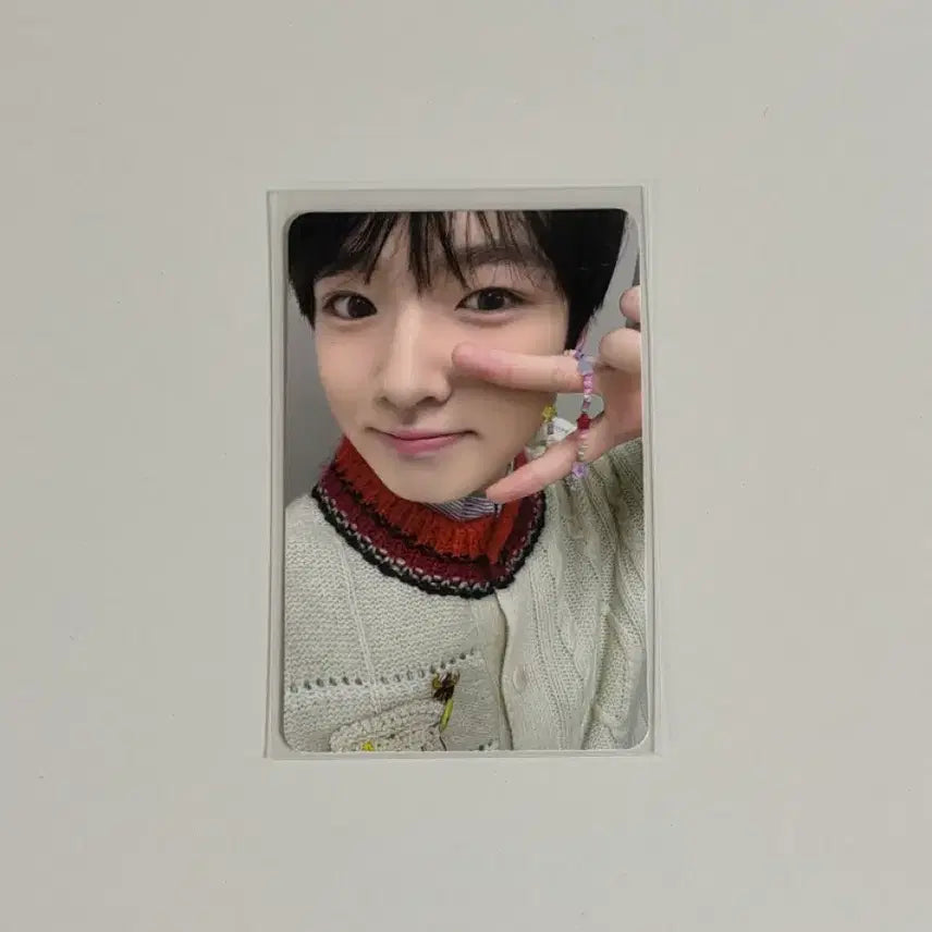 엔시티위시 스테디 팝업 엠디 10만원 포카 사쿠야