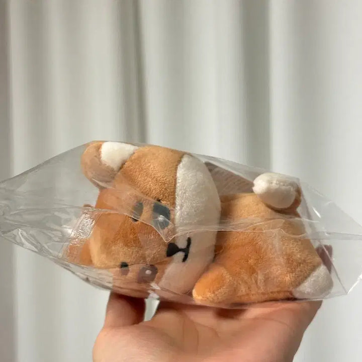 데이식스 영케이 / 데니멀즈 손난로 인형 케