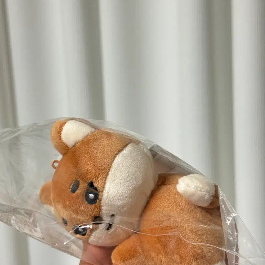 데이식스 영케이 / 데니멀즈 손난로 인형 케