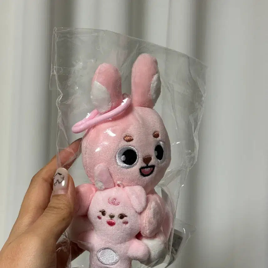 데이식스 원필 / 데니멀즈 마그넷 플러시 세트 필