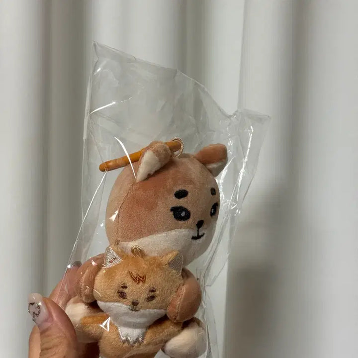 데이식스 영케이 / 데니멀즈 마그넷 플러시 세트 케