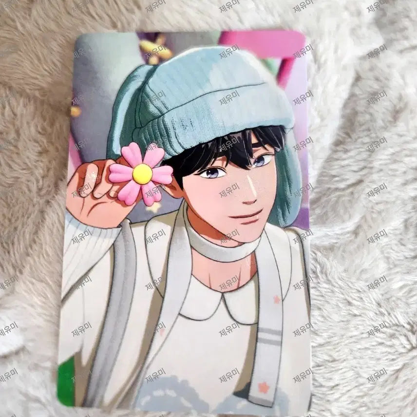 플레이브 뿌포카 일본위버스 유니버셜 미공포 예준