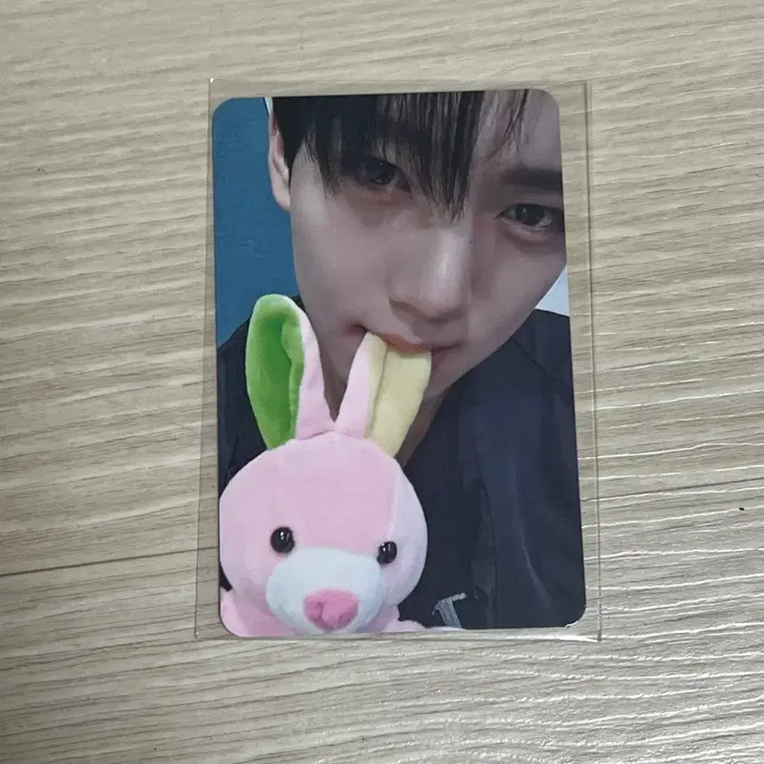 제베원 제로베이스원 한유진 부산럭드 인형 에버라인 포카 미공포