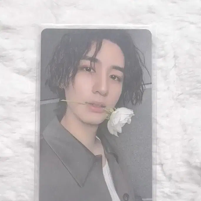 보이넥스트도어 이한 힐리우드액션 위버스 특전