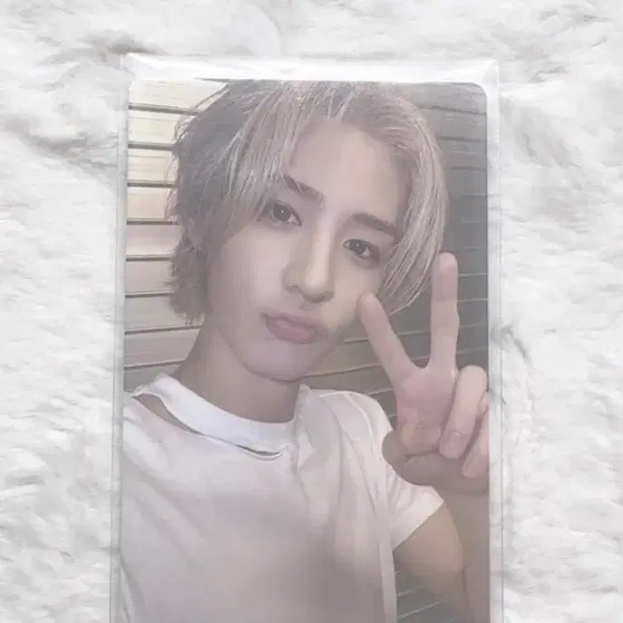 보넥도 이한 노장르 앨포 판매합니다