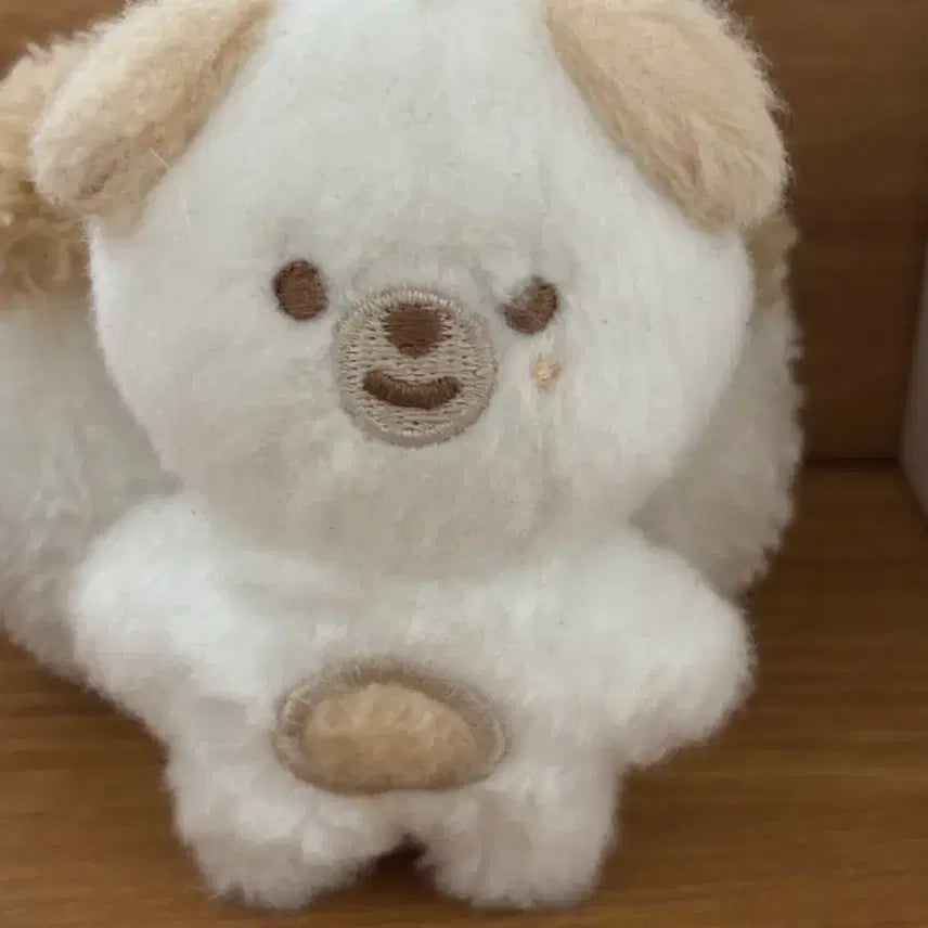 데이식스 쁘쁘멀 돈