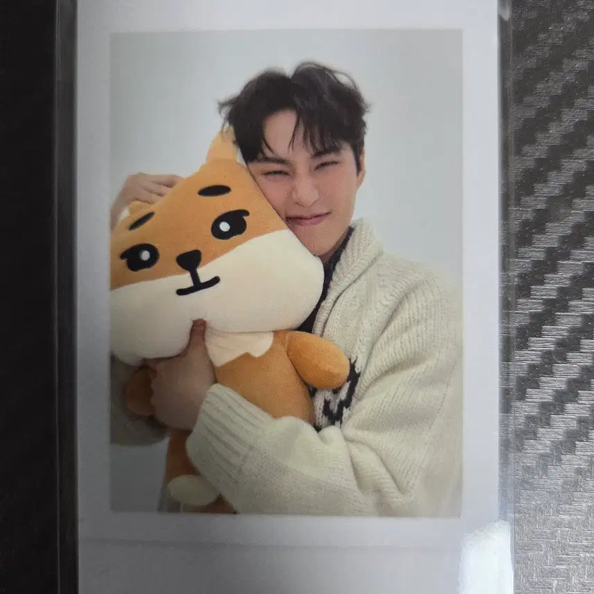 자이언트 데니멀즈 케(포카포함)