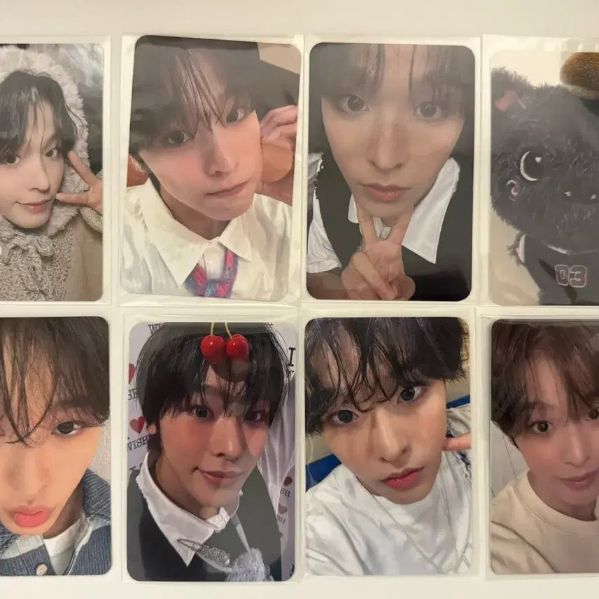 엔시티 위시 리쿠 포카 8장 일괄 판매 스테디 송버드 쿠리