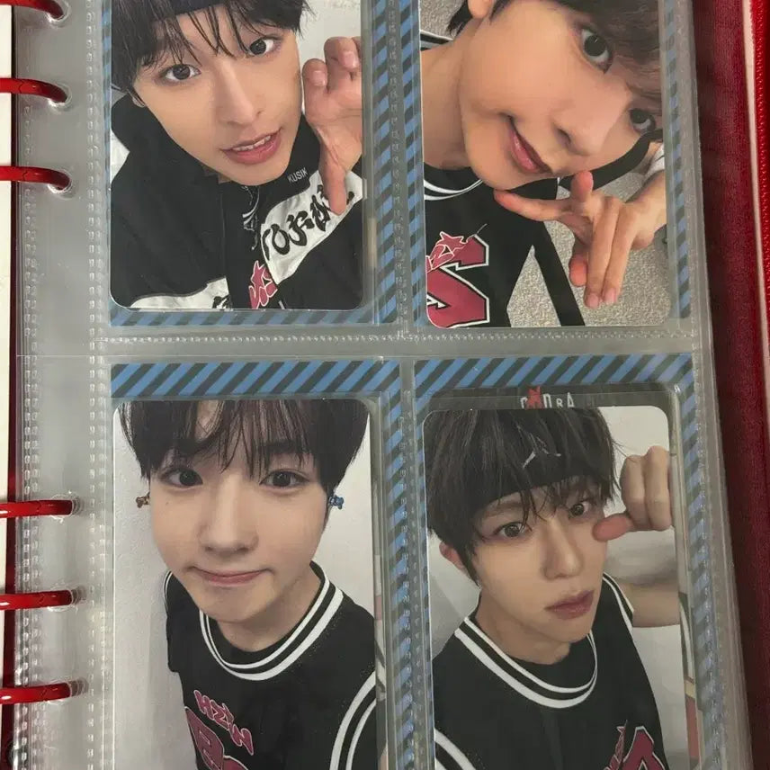 엔시티 위시 스테디 활동 포카 일괄 판매