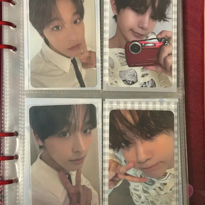 엔시티 위시 스테디 활동 포카 일괄 판매