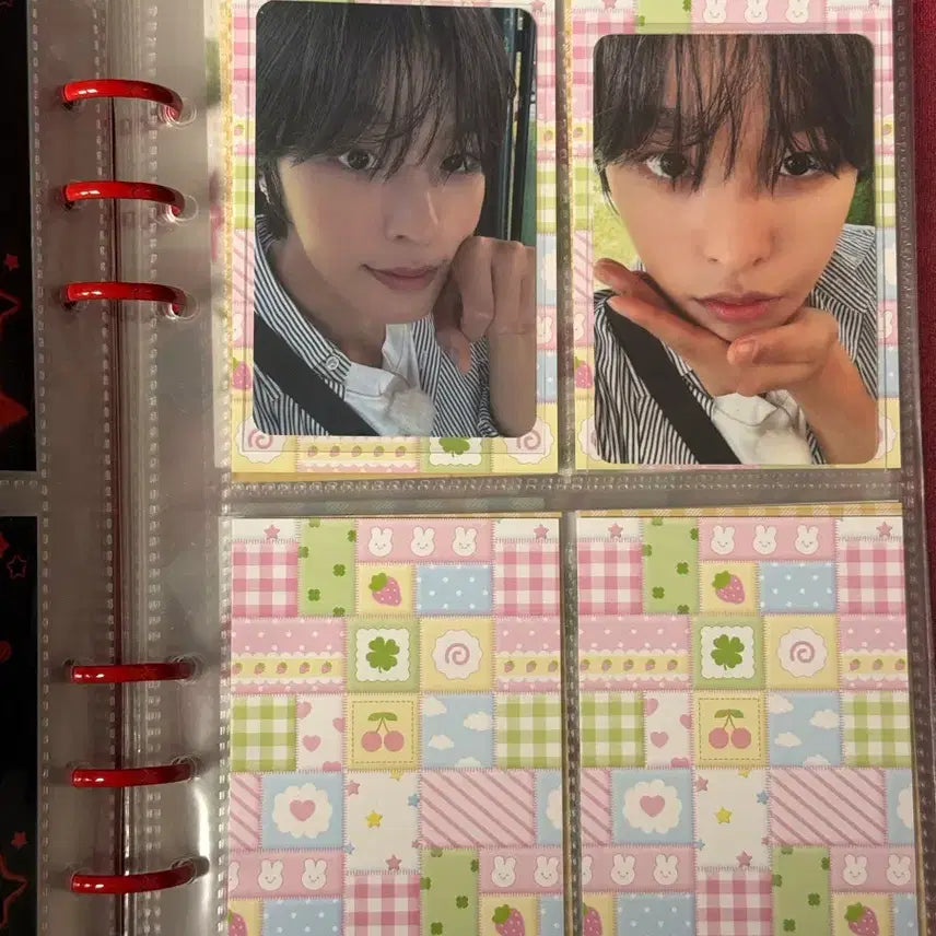 엔시티 위시 스테디 활동 포카 일괄 판매