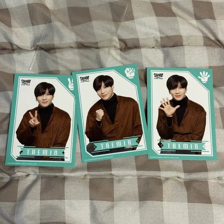 샤이니 월드 일본 태민 포카 이태민 세트 2017 SHINee 파이브콘