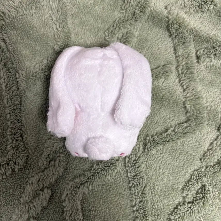 보이넥스트도어 토끼 이한 인형