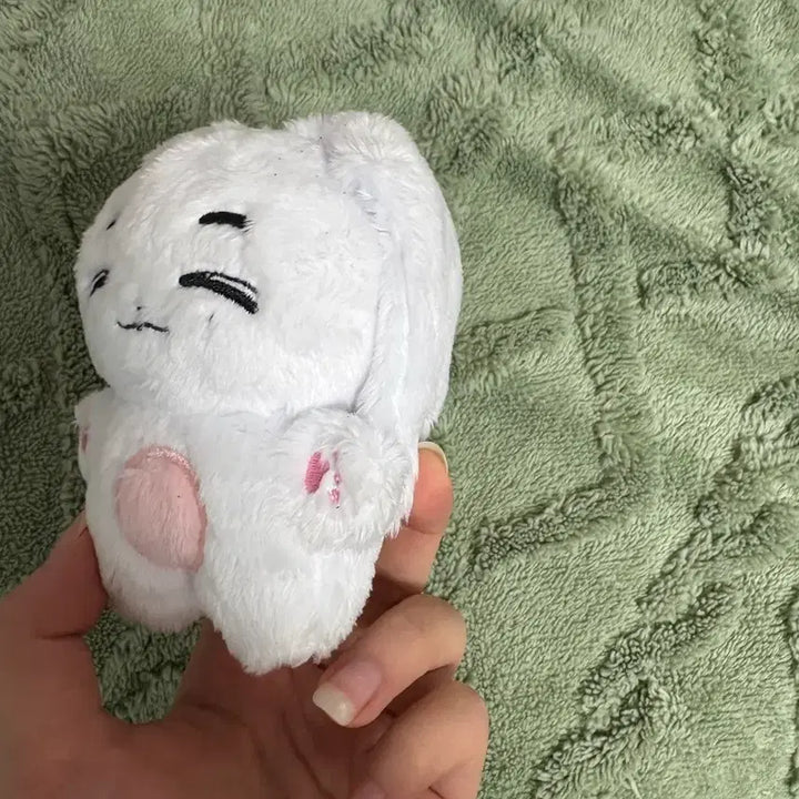 보이넥스트도어 토끼 이한 인형