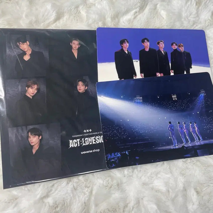 투바투 럽식콘 디비디&디지털코드 본품 세트 일괄 양도(포카포함)