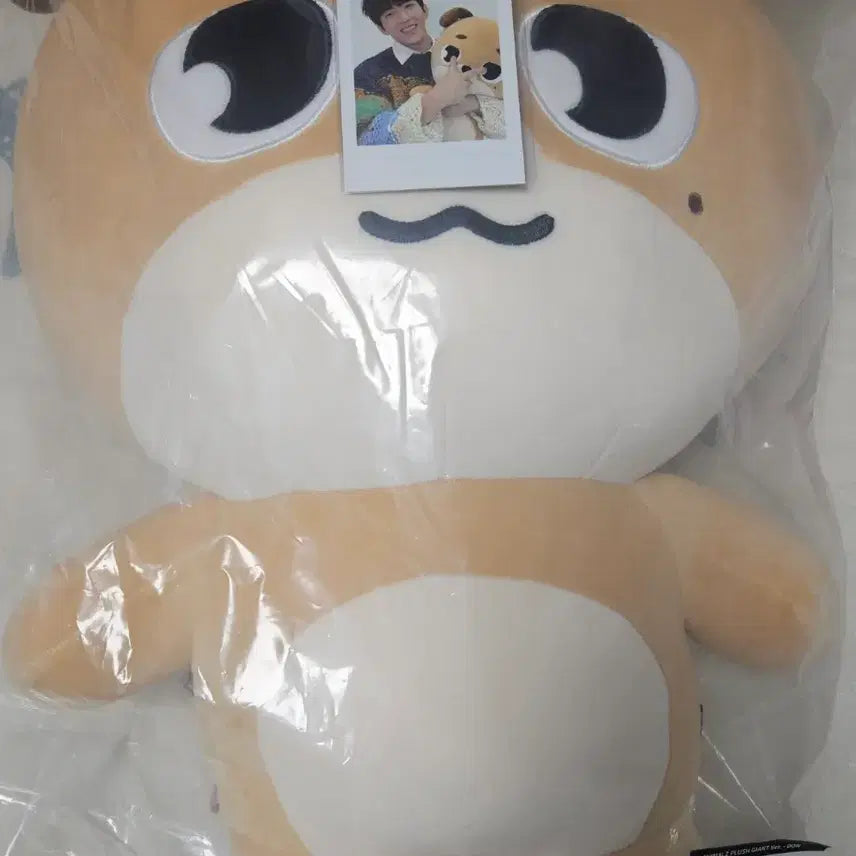 자이언트 데니멀즈 돈