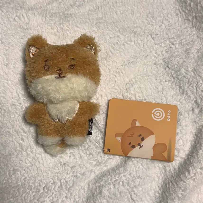 데이식스 쁘띠데니멀즈 플러시 마그넷 케