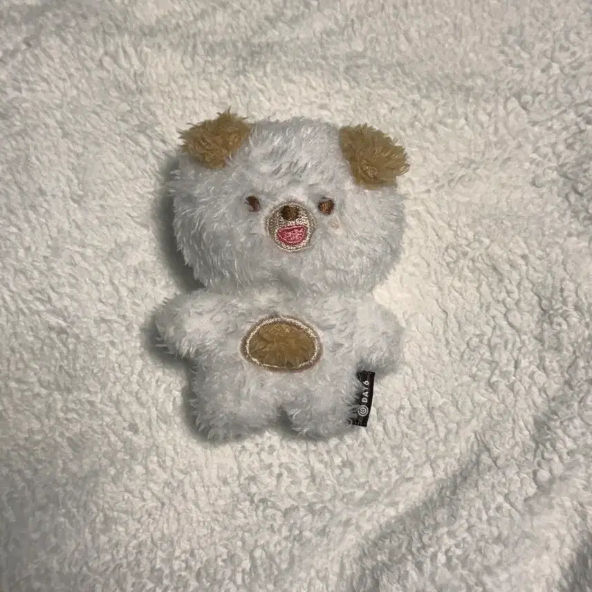 데이식스 쁘띠데니멀즈 플러시 마그넷 돈