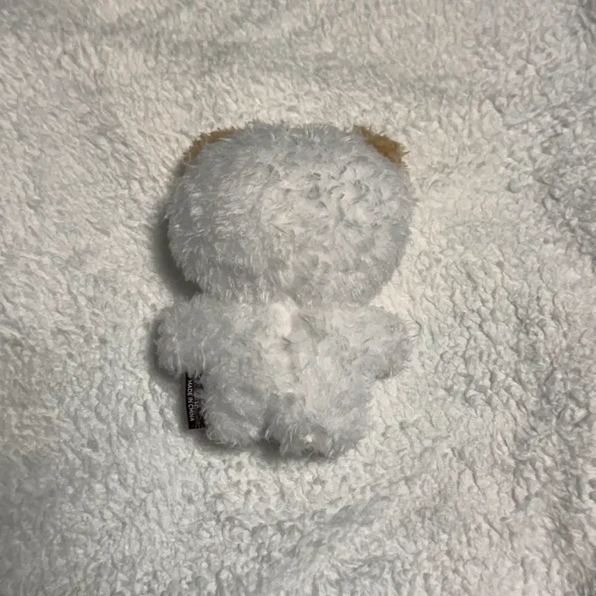 데이식스 쁘띠데니멀즈 플러시 마그넷 돈