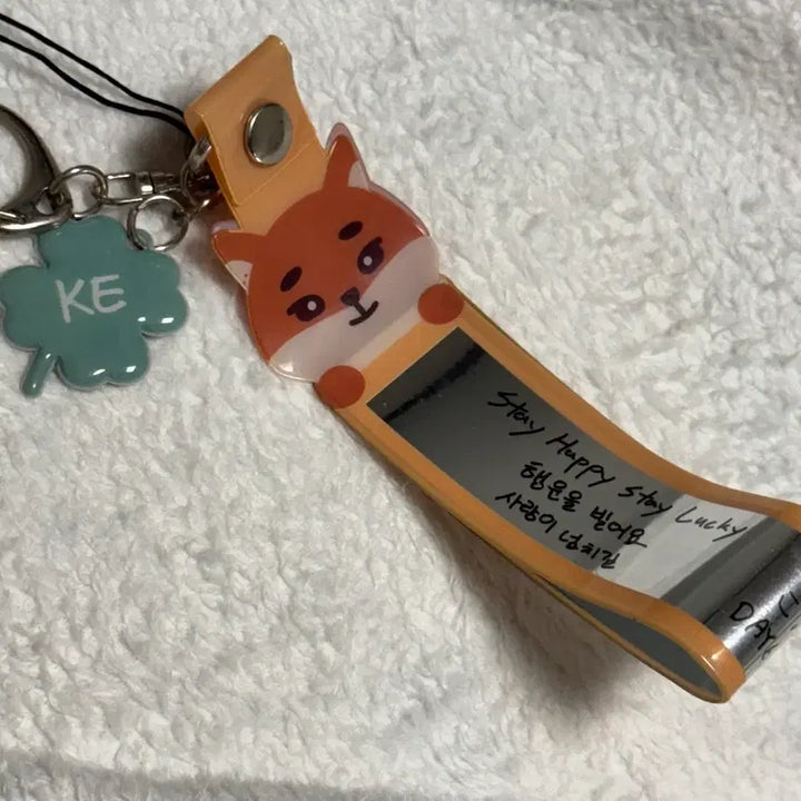 데이식스 데니멀즈 컨페티 홀더 키링 케(+싸인컨페티)