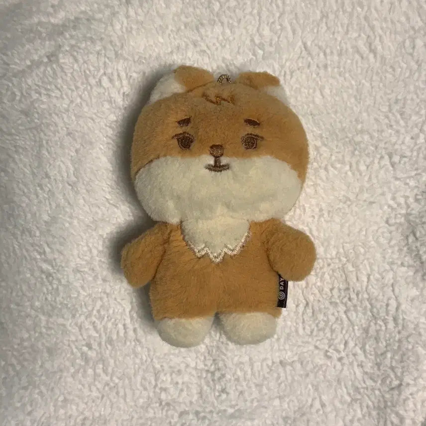 데이식스 쁘띠멀즈 케