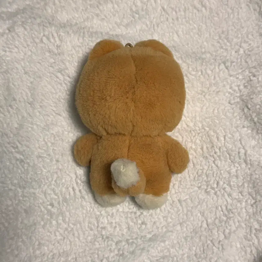 데이식스 쁘띠멀즈 케