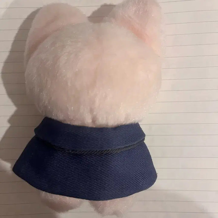 스키즈 매직스쿨 스키주 폭시니 10cm 인형스트레이키즈 아이엔