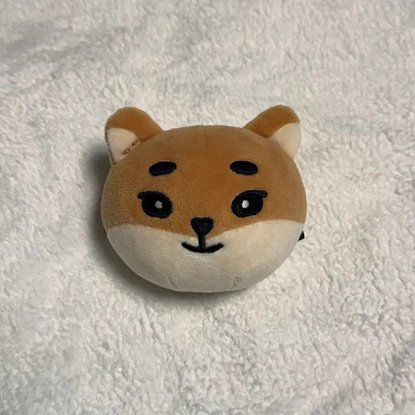 데이식스 영케이 데니멀즈 스트레스볼