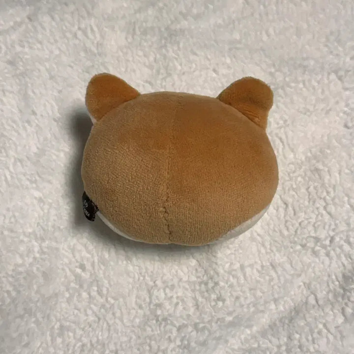 데이식스 영케이 데니멀즈 스트레스볼