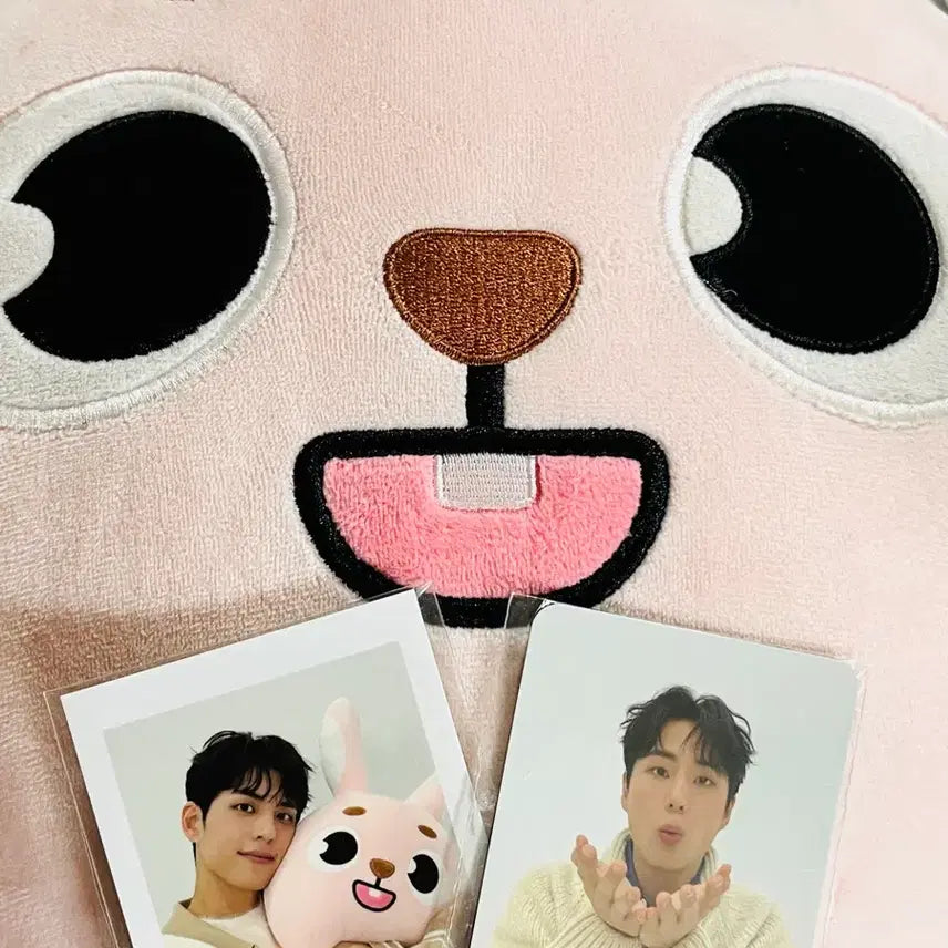 자이언트 데니멀즈 필끼 판매합니다