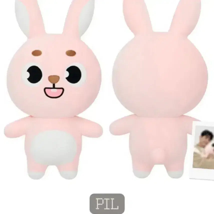 자이언트 데니멀즈 필끼 판매합니다