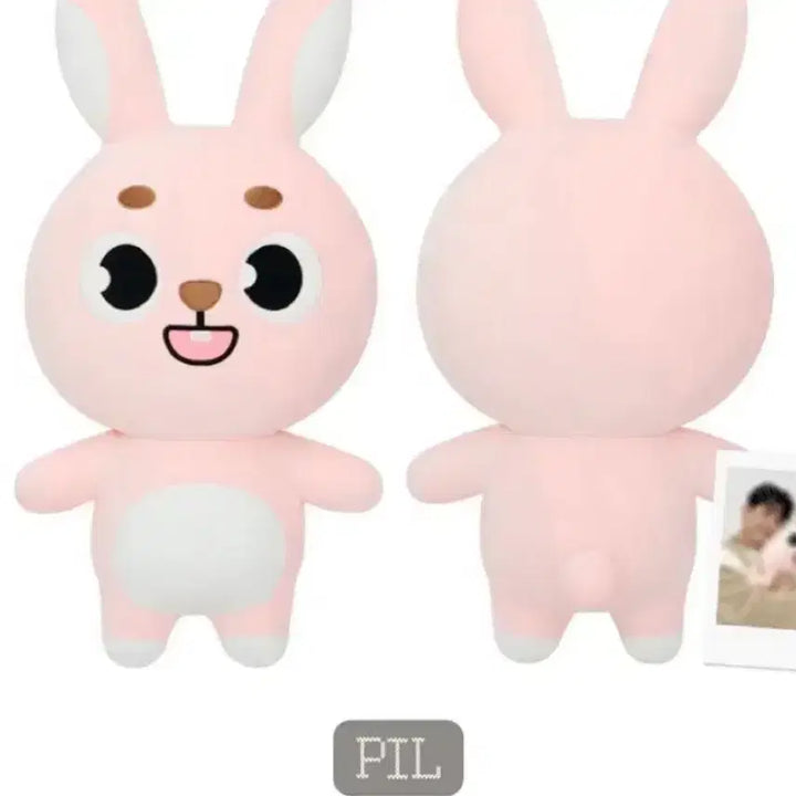 자이언트 데니멀즈 필끼 판매합니다