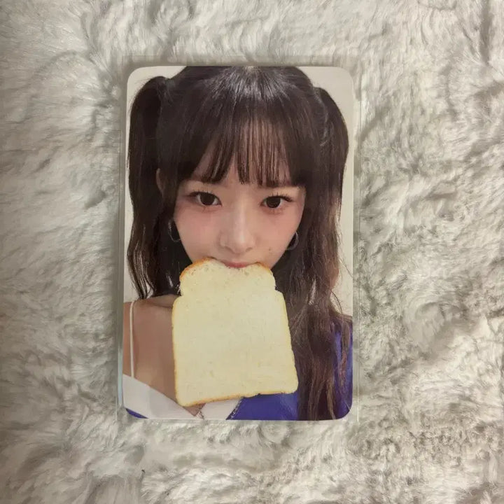 아이브레이포카 아이브스위치 식빵레이 양도