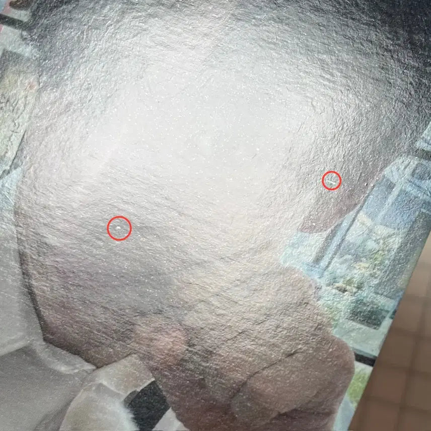 엔시티위시 유우시 스테디 비트로드 미공포 특전