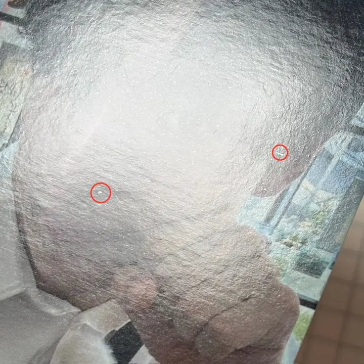 엔시티위시 유우시 스테디 비트로드 미공포 특전