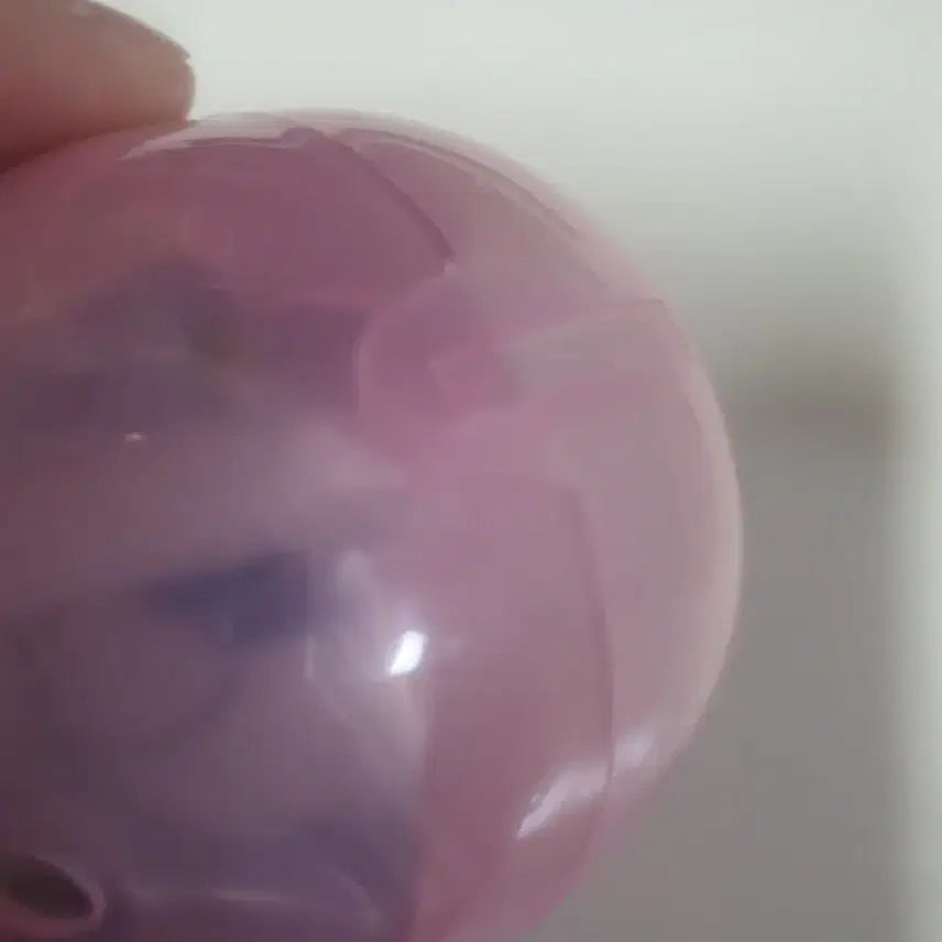 미개봉 잠자는 타마마