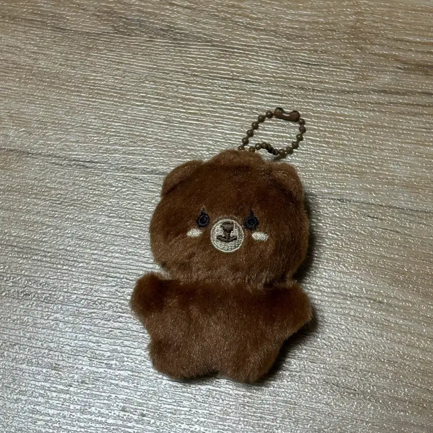 데이식스 쁘쁘멀 방