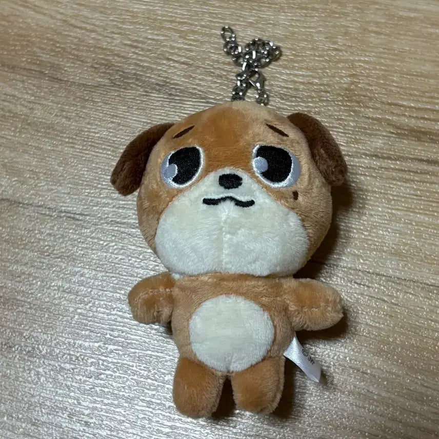 데이식스 데니멀즈 일본 엠디 돈