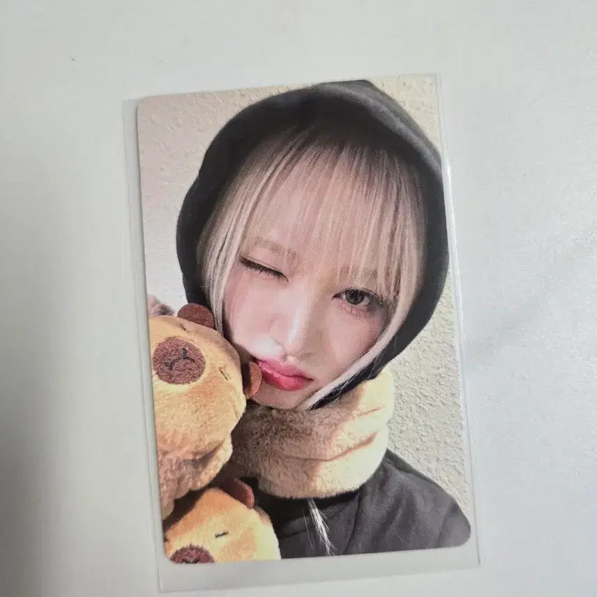 아이브 리즈 스위치 이즈위 카피바라 포토카드