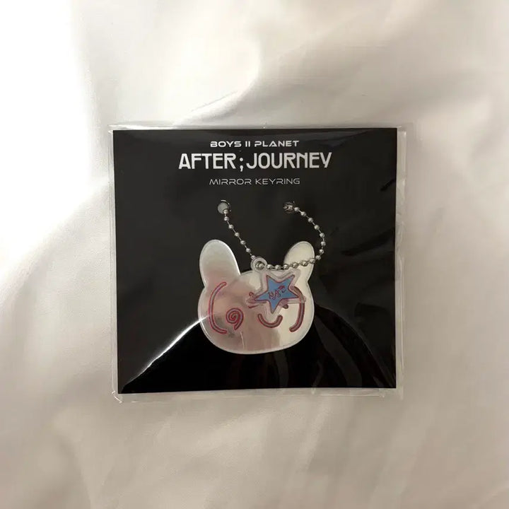 보이즈2플래닛 보2플 아카이브 알파드라이브원 정상현 미러 키링 양도