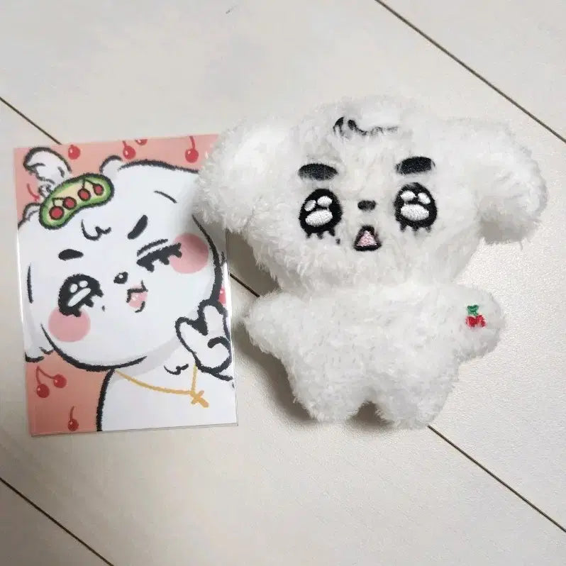 세븐틴 에스쿱스 스펙트럼 전시회 인형 쿱듀 양도