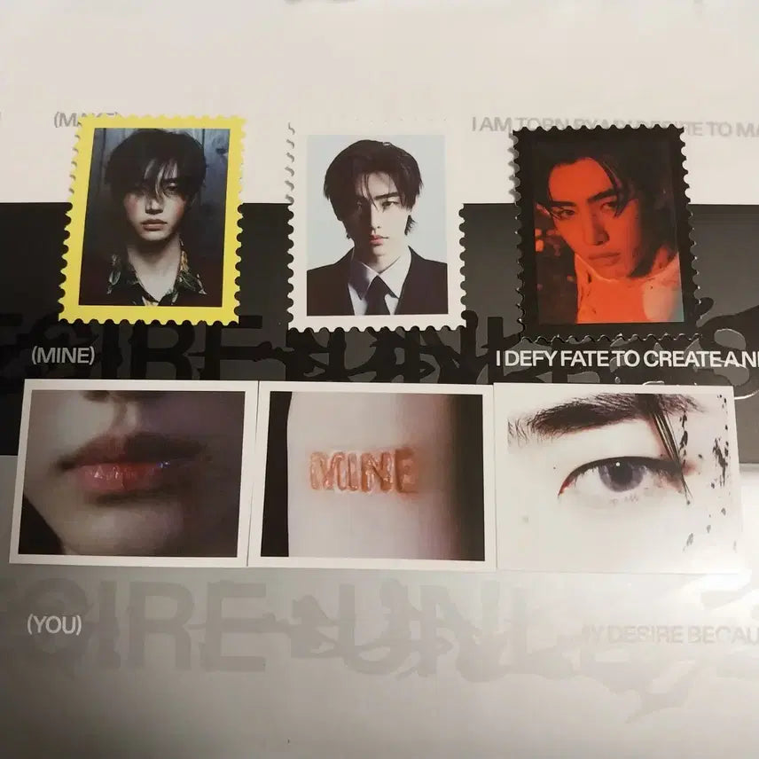 성훈 씰 미니포토 desire unleash 엔하이픈 우표 증명사진 증사