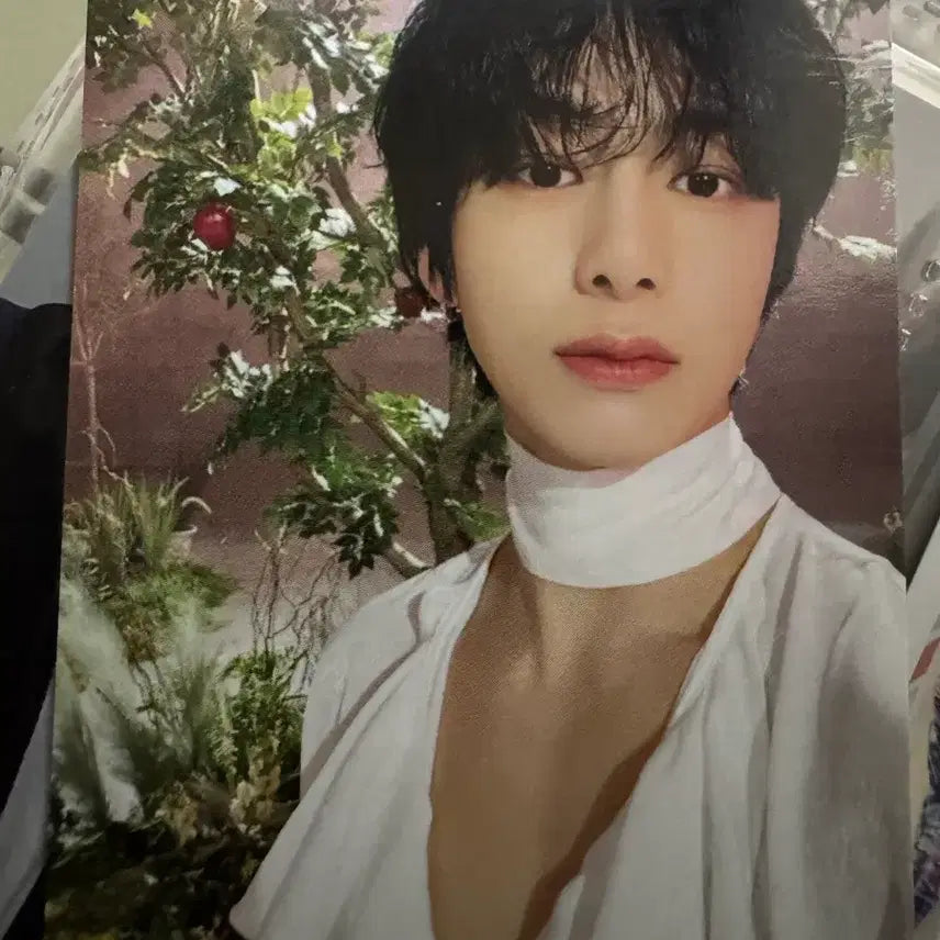 몬스타엑스 형원 포토카드 양도